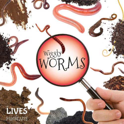 Wiggly Worms - The Lives of Minibeasts (Hardback)