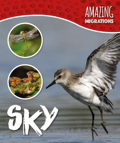 Sky - Amazing Migrations (Hardback)