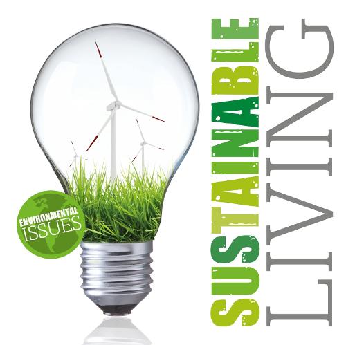 Sustainable Living - Environmental Issues (Hardback)