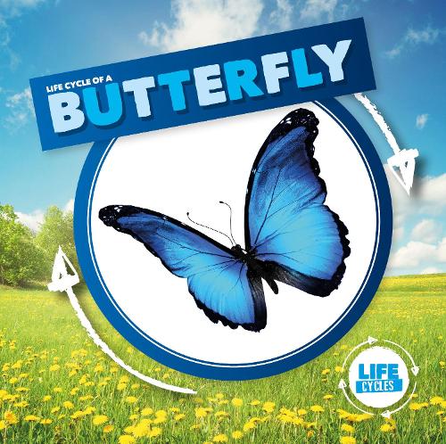Life Cycle of a Butterfly - Life Cycles (Hardback)