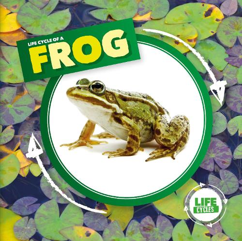 Life Cycle of a Frog - Life Cycles (Hardback)