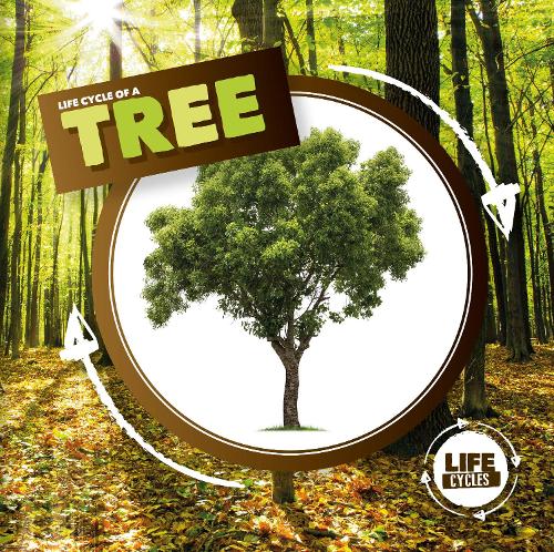 Life Cycle of a Tree - Life Cycles (Hardback)