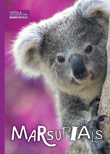 Marsupials - Animal Classification (Hardback)