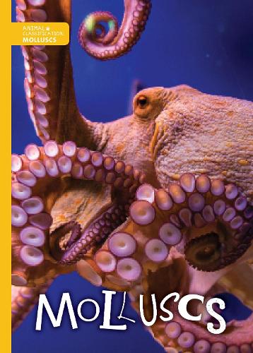 Molluscs - Animal Classification (Paperback)