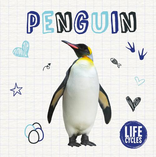 Penguin - Life Cycles (Hardback)
