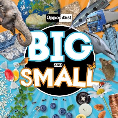 Big and Small - Opposites! (Hardback)
