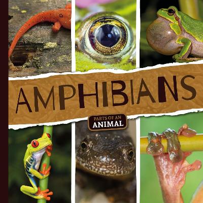 Amphibians - Parts of an Animal (Hardback)