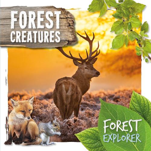 Forest Creatures - Forest Explorer (Hardback)