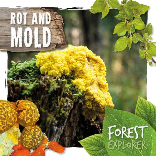 Rot & Mould - Forest Explorer (Hardback)