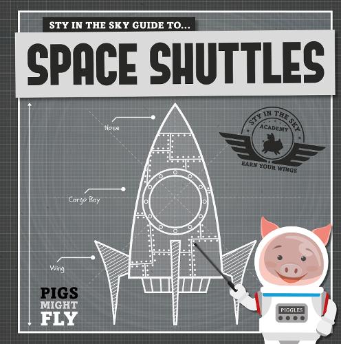 Space Shuttles - Pigs Might Fly! (Hardback)