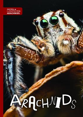 Arachnids - Animal Classification (Hardback)
