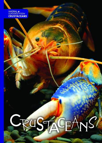 Crustaceans - Animal Classification (Hardback)