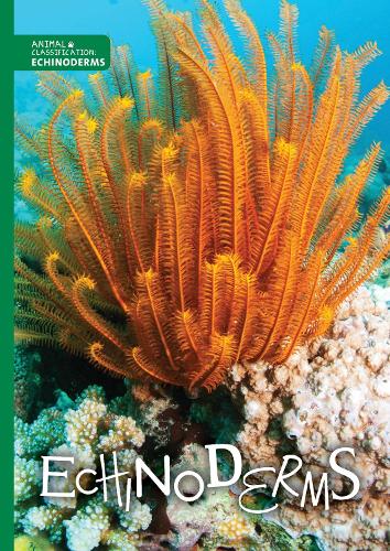 Echinoderms - Animal Classification (Hardback)