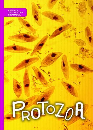 Protozoa - Animal Classification (Hardback)