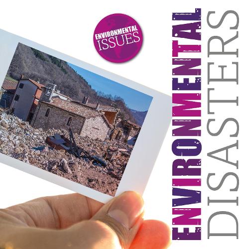 Environmental Disasters - Environmental Issues (Hardback)