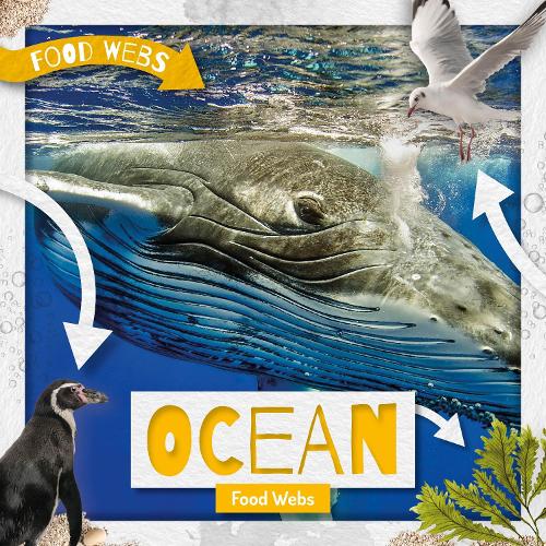 Ocean Food Webs - Food Webs (Hardback)