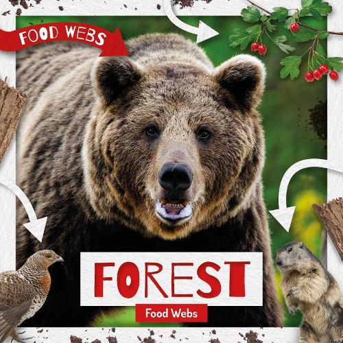 Forest Food Webs - Food Webs (Hardback)