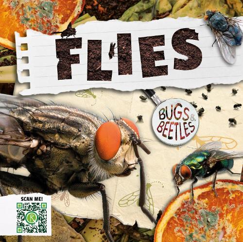 Flies - Bugs and Beetles (Hardback)