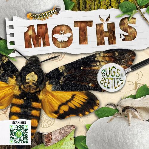 Moths - Bugs and Beetles (Hardback)