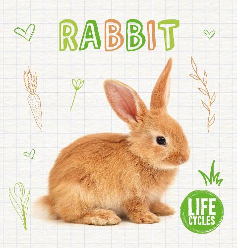 Rabbit - Life Cycles (Hardback)