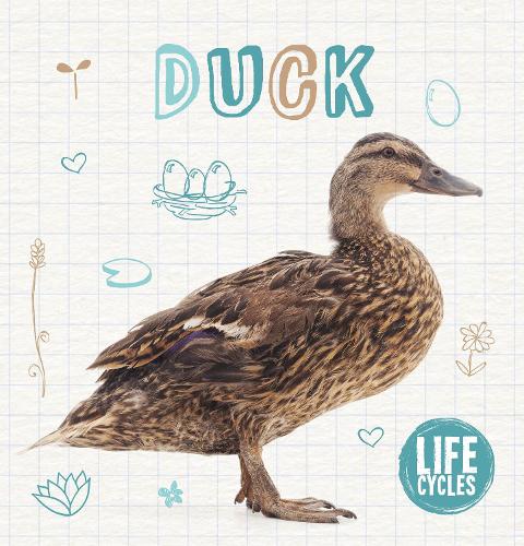 Duck - Life Cycles (Hardback)