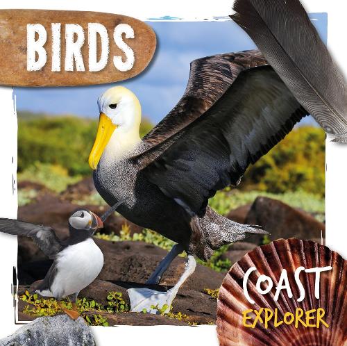 Birds - Coast Explorer (Hardback)