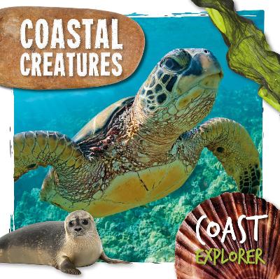 Coastal Creatures - Coast Explorer (Hardback)