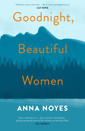 Goodnight, Beautiful Women: a powerful collection of short stories about the women of a small town in Maine (Hardback)