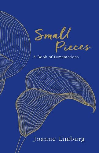 Small Pieces: A Book of Lamentations (Hardback)
