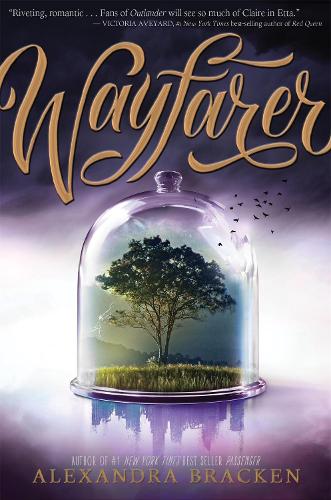 Cover of the book Wayfarer