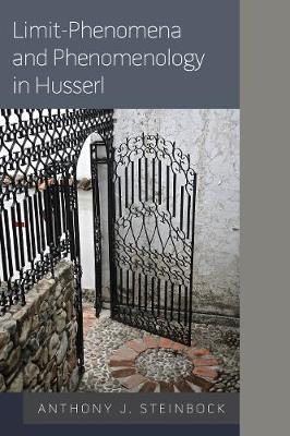 Limit-Phenomena and Phenomenology in Husserl (Hardback)