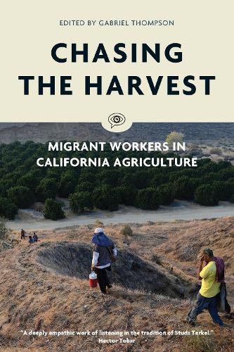 Chasing the Harvest - Voice of Witness (Paperback)