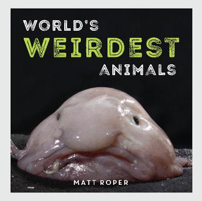 Cover World's Weirdest Animals