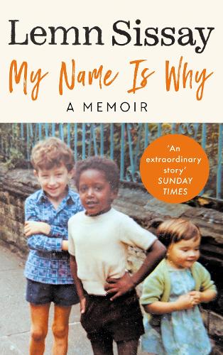 My Name Is Why (Hardback)