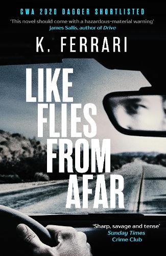 Like Flies from Afar (Paperback)