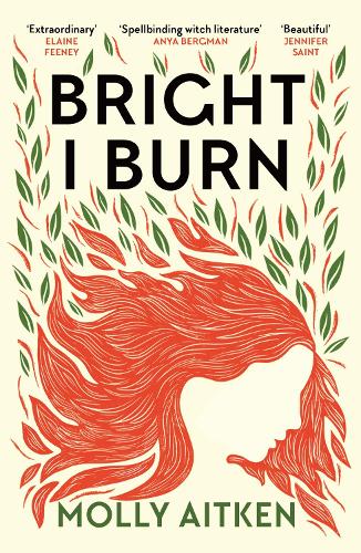 Cover of Bright I Burn