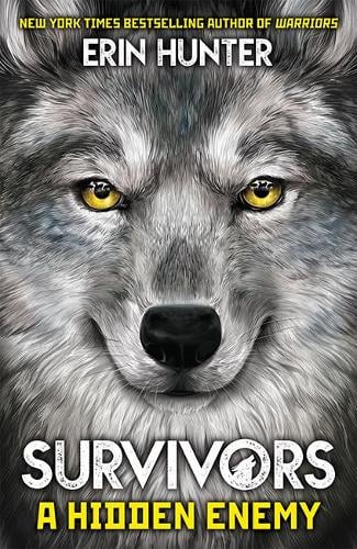Survivors Book 2: A Hidden Enemy - Survivors 2 (Paperback)
