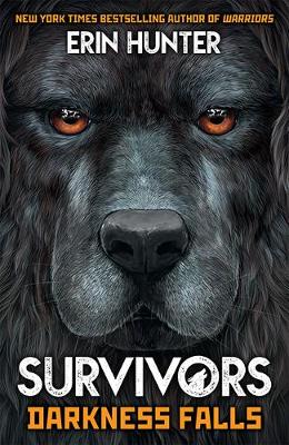 Survivors Book 3: Darkness Falls - Survivors 3 (Paperback)