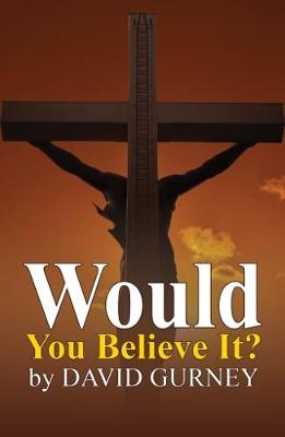Would You Believe It? (Paperback)