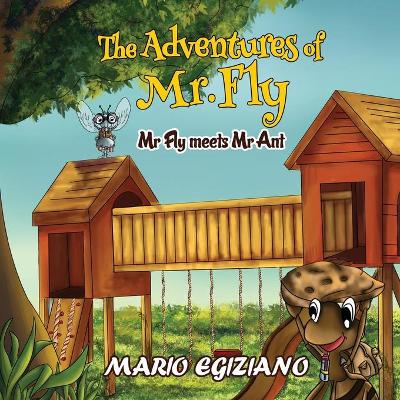 The Adventures of Mr. Fly -: Mr Fly Meets Mr Ant (Paperback)