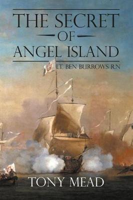 The Secret of Angel Island (Paperback)
