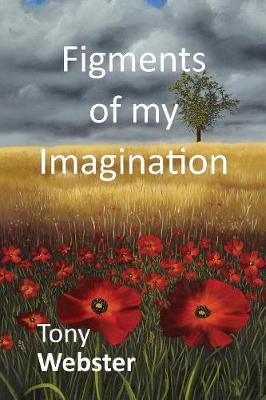 Figments of my Imagination (Paperback)