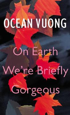 On Earth We're Briefly Gorgeous (Hardback)