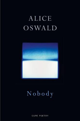 Nobody (Paperback)