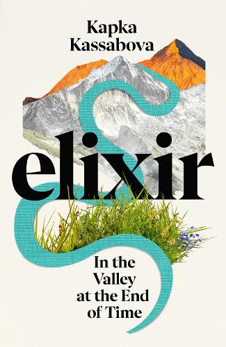 Elixir: In the Valley at the End of Time (Hardback)