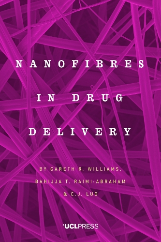 Nanofibres in Drug Delivery (Hardback)