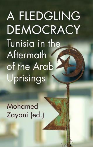 A Fledgling Democracy: Tunisia in the Aftermath of the Arab Uprisings - Georgetown University, Center for International and Regional Studies, School of Foreign Service in Qatar (Paperback)