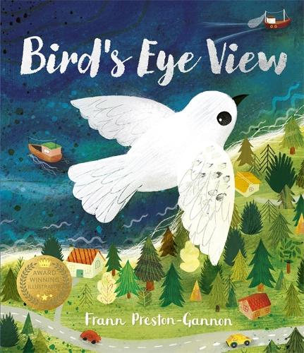 Bird's Eye View by Frann Preston-Gannon | Waterstones