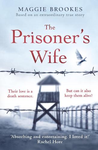 Book cover of The Prisoner's Wife