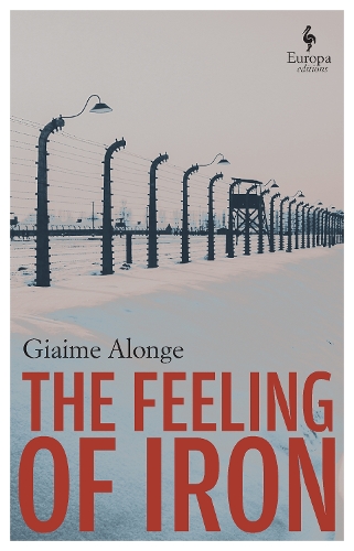 The Feeling Of Iron (Paperback)